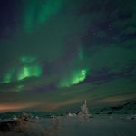 NIK_9082